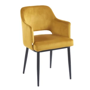 silla interior terciopelo